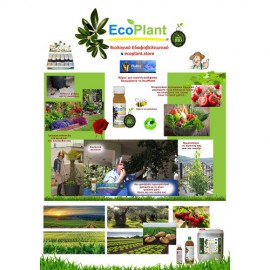 ECOPLANT